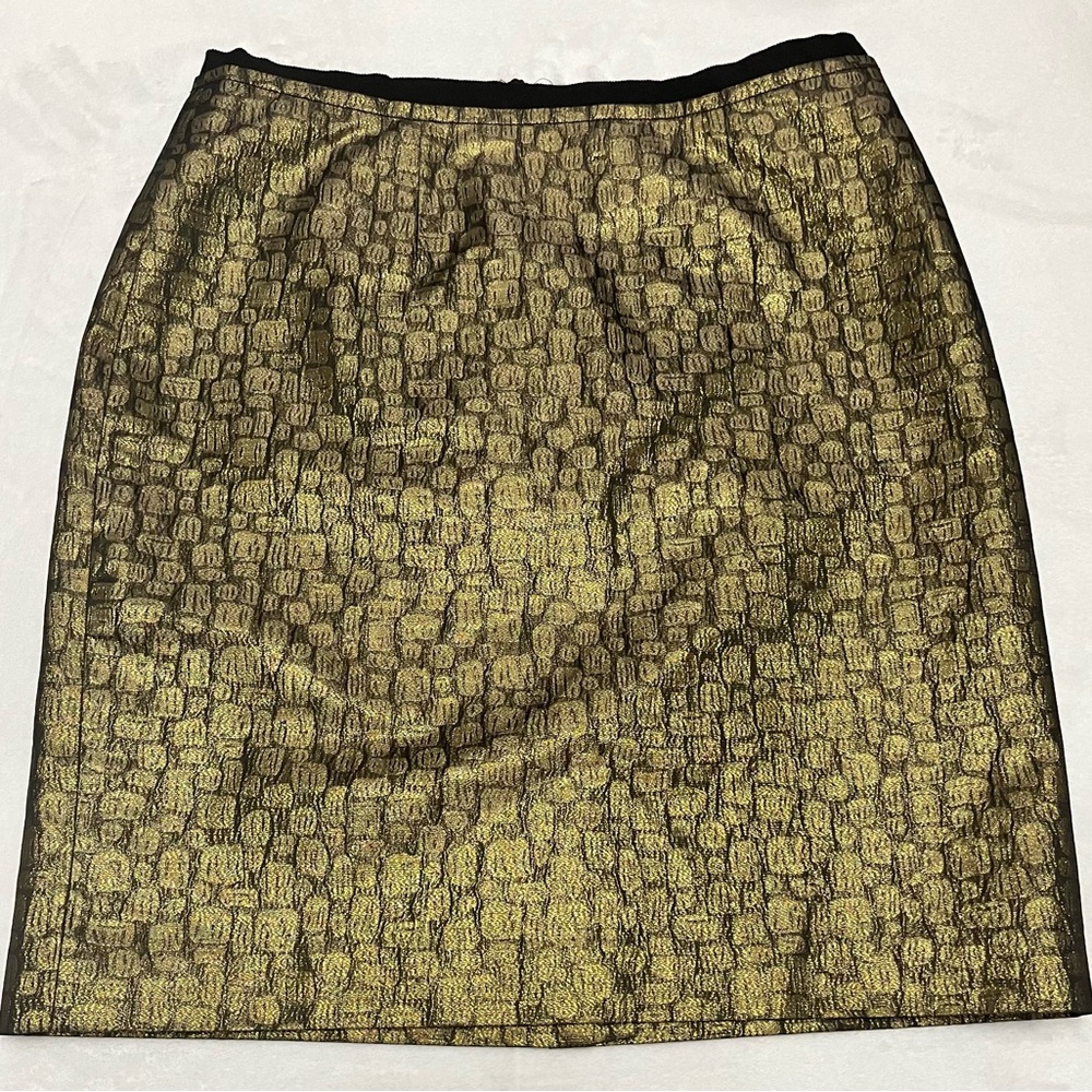 Anne Taylor Loft size 8 skirt
